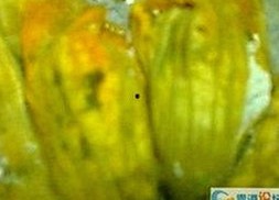 最新上线：丫丫影院免费高清电视剧观看官方版下载，畅享高清剧集
