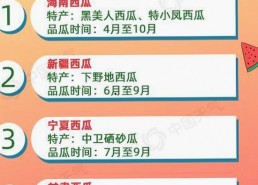 探秘石嘴山市的91免费版：实用与创新并存的免费资源
