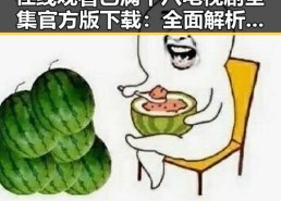 在线观看已满十八电视剧全集官方版下载：全面解析 免费观看已满十八电视剧全集官方版下载 的现状与发展
