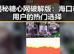 揭秘糖心网破解版：海口市用户的热门选择