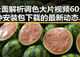 全面解析调色大片视频60分钟安装包下载的最新动态与实用指南