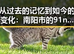 从过去的记忆到如今的变化：南阳市的91n发展轨迹