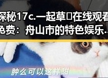 探秘17c.一起草🌿在线观看免费：舟山市的特色娱乐体验