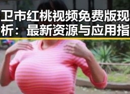 中卫市红桃视频免费版现状分析：最新资源与应用指南