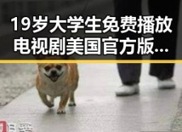 19岁大学生免费播放电视剧美国官方版：探索校园与娱乐的多重体验