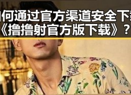 如何通过官方渠道安全下载《撸撸射官方版下载》？