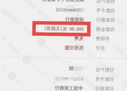 探索禁漫天堂下载免费版：从争议到实际使用的转变