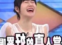 关于黄色91免费版的讨论：网络资源的真实与争议