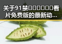 关于91禁🍆🍑🔞❌❌❌看片免费版的最新动态分析