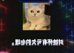 关于www.91色😍萝网站官方版免费版的详细介绍