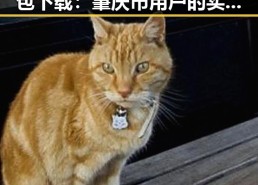 全面解析17c在线观看安装包下载：肇庆市用户的实用指南