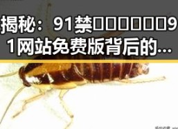 揭秘：91禁🍆🍑🔞❌❌❌91网站免费版背后的真实现状