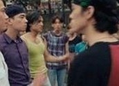 最新黑料 官网全新上线，带你畅享丰富内容