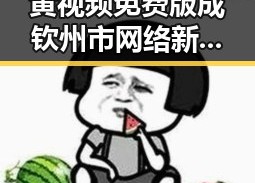 黄视频免费版成钦州市网络新热点，用户关注度持续升高