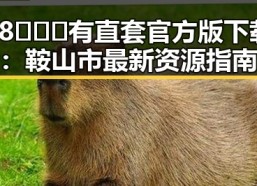 18❌❌❌有直套官方版下载：鞍山市最新资源指南