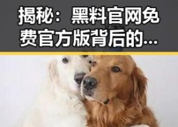 揭秘：黑料 官网免费官方版背后的焦点与分析