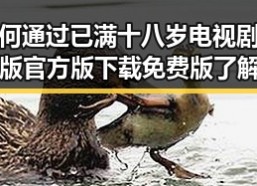 如何通过已满十八岁电视剧完整版官方版下载免费版了解更多情感内容