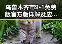 乌鲁木齐市9·1免费版官方版详解及应用指南