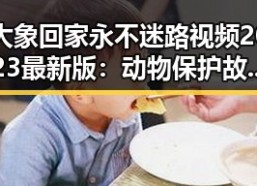 大象回家永不迷路视频2023最新版：动物保护故事的最新感动