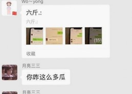 探索91免费版官方版：吉安市用户的最佳选择