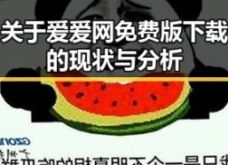 关于爱爱网免费版下载的现状与分析