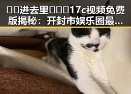 🔞🍌进去里❌❌❌17c视频免费版揭秘：开封市娱乐圈最新动态与“吃瓜”现象