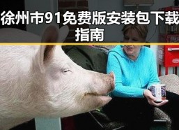徐州市91免费版安装包下载指南