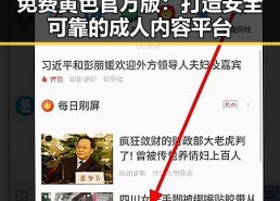 免费黄色官方版：打造安全可靠的成人内容平台