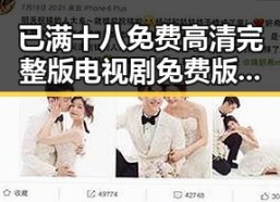 已满十八免费高清完整版电视剧免费版：探索成人内容的现状与发展