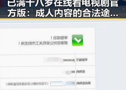 已满十八岁在线看电视剧官方版：成人内容的合法途径与安全指南