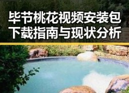 毕节桃花视频安装包下载指南与现状分析