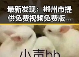 最新发现：郴州市提供免费视频免费版资源，满足大众多样需求