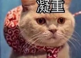 人物展现：从《摩登家庭第二季》看家庭关系的变化