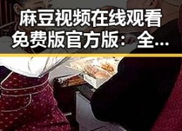 麻豆视频在线观看免费版官方版：全面解析与使用指南