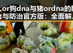 人or狗dna与猪ordna的配合与防治官方版：全面解析与现状