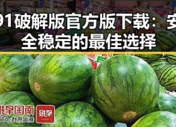 91破解版官方版下载：安全稳定的最佳选择