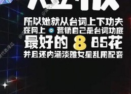 深入了解91小视频免费版：南昌市最新资源解析