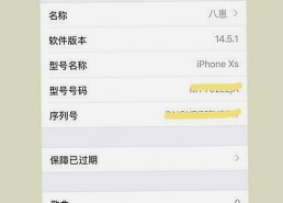 深入解析：91网站官方版下载背后的趋势与影响