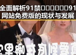 全面解析91禁🍆🍑🔞❌❌❌91网站免费版的现状与发展