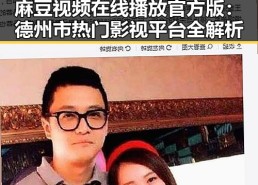 麻豆视频在线播放官方版：德州市热门影视平台全解析