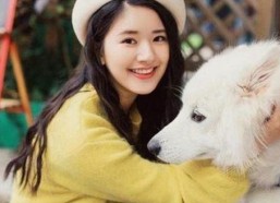 西瓜视频免费官方版下载：获取高清在线看体验的方法指南