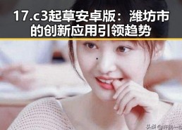 17.c3起草安卓版：潍坊市的创新应用引领趋势