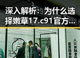 深入解析：为什么选择嫩草17.c 91官方版？