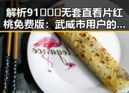 解析91❌❌❌无套直看片红桃免费版：武威市用户的新宠