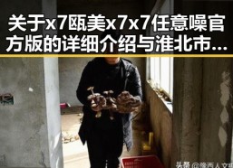 关于x7瓯美x7x7任意噪官方版的详细介绍与淮北市相关信息