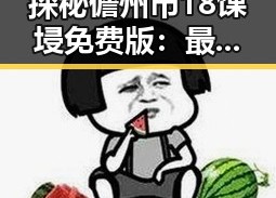 探秘儋州市18馃埐免费版：最新实用指南