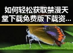 如何轻松获取禁漫天堂下载免费版下载资源