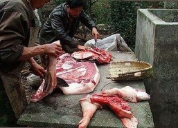 最新消息：17c在线观看免费版下载已正式上线，体验更流畅
