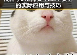 浅析小巧🐥伸女生🍑🍑里姿势的实际应用与技巧