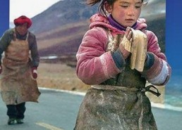 探索《菠萝视频官方版下载》在昭通市的最新动态